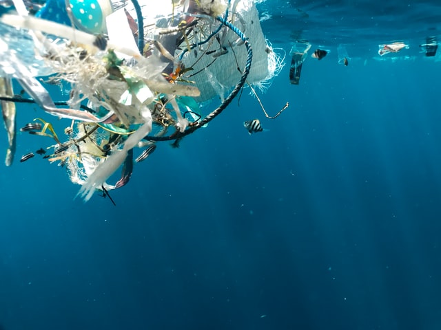 廢水中氨氮來源及處理方法？-廢水處理方法-污水處理十萬個為什么