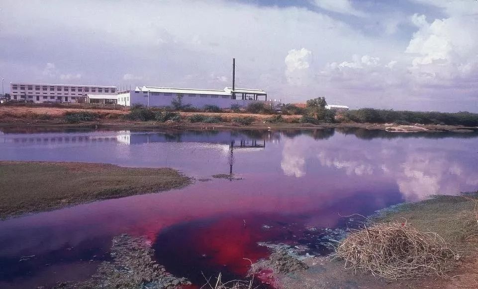 污水處理地方排放標準與污水處理行業(yè)標準按照哪個來？-樂中環(huán)保