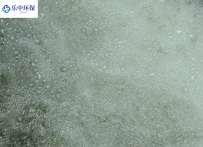 溶氣氣浮機(jī)泡沫多什么原因？如何解決？