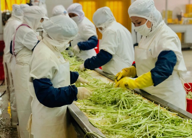 三種食品污水處理設(shè)備工藝流程，看看哪種適合您？