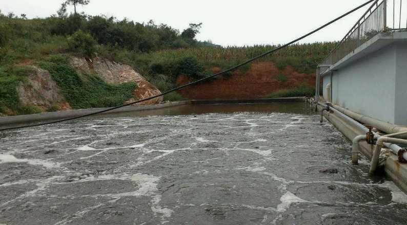 屠宰廢水氨氮高怎么降下來(屠宰廢水的特點) 屠宰廢水氨氮高怎么降下來(屠宰廢水的特點)