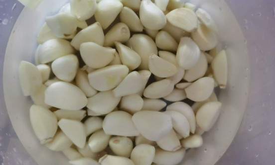 洗蒜污水處理設備廠家相關(guān)介紹（大蒜污水如何處理最好）